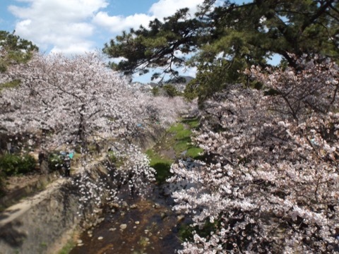 d0115985_23361322.jpeg