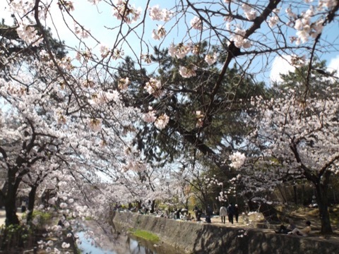 d0115985_23370240.jpeg