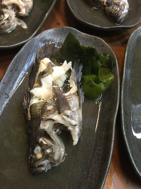 春告魚_d0268290_14252023.jpg