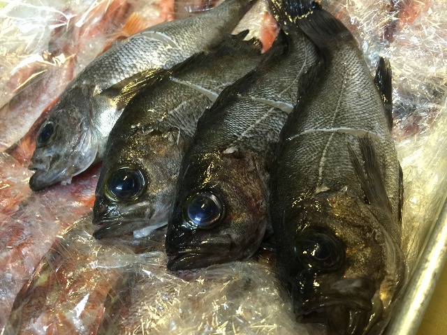 春告魚_d0268290_1425790.jpg
