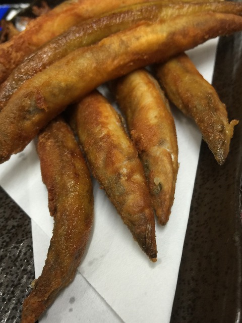 フルセ_d0268290_14263210.jpg