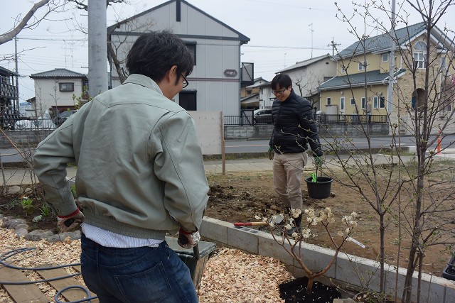 門井、外構工事③下草の植え付け_c0124100_2119474.jpg