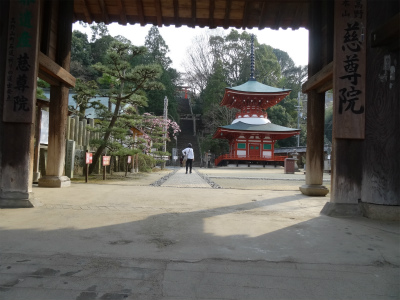 c0125501_23383553.jpg