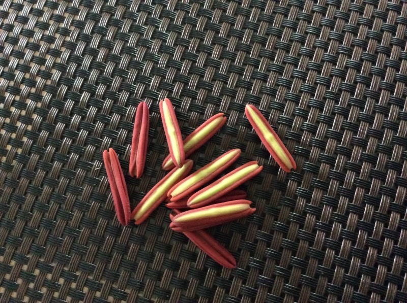 b0220002_09144834.jpeg
