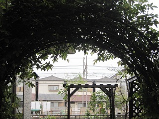 c0152002_10305962.jpg