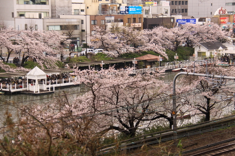 d0248502_22031469.jpg