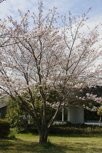 a0123003_2053745.jpg