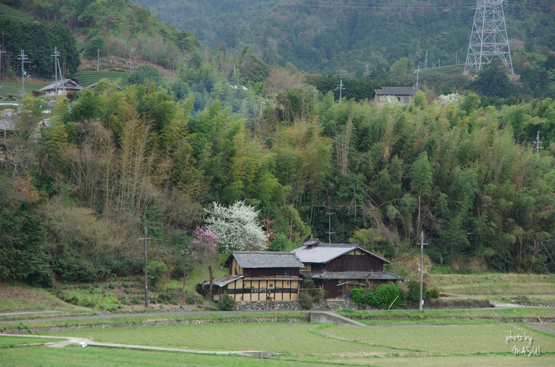 d0342307_23203916.jpg