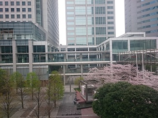d0091909_1643163.jpg