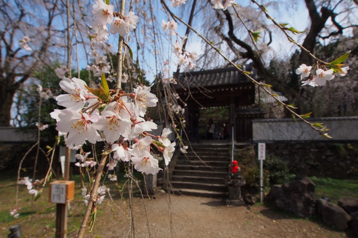 a0268412_20383972.jpg
