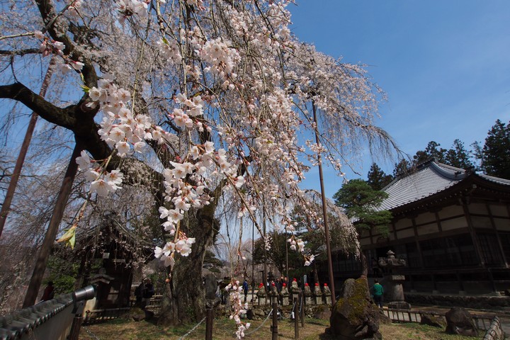 a0268412_20385123.jpg