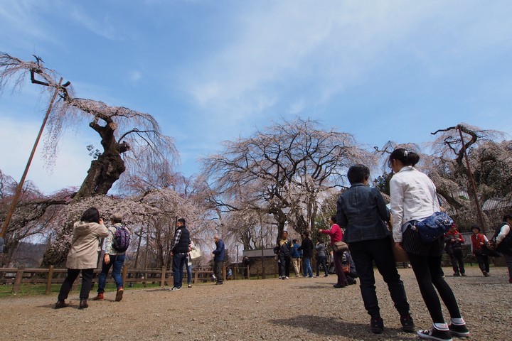 a0268412_20391235.jpg