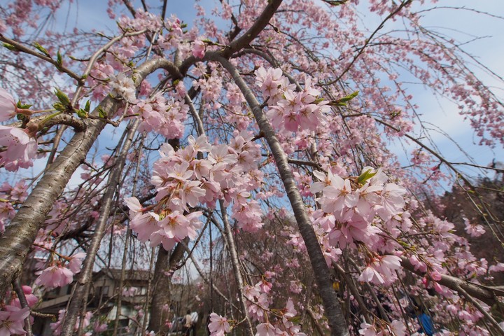 a0268412_20391517.jpg