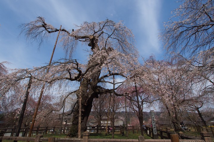 a0268412_2039649.jpg