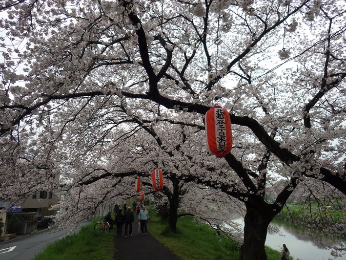 c0022113_1321513.jpg