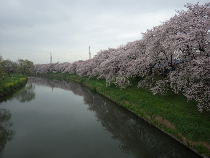 c0022113_13272049.jpg