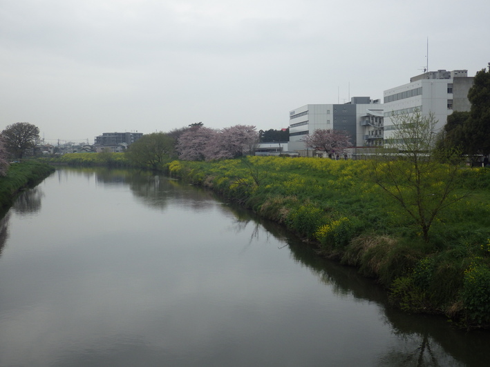 c0022113_13273754.jpg