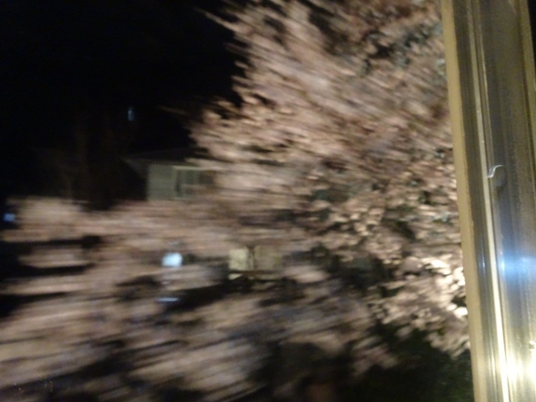 e0033713_23322182.jpg