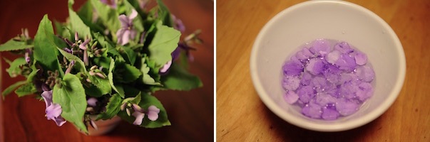 紫花菜のお浸し 世話要らずの庭 紫花菜のお浸し 世話要らずの庭
