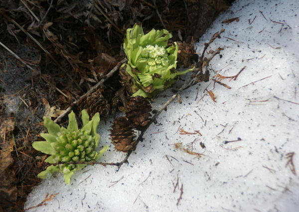 f0133013_16221895.jpg