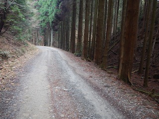 養老山地ワンデー完全縦走！_c0359615_16333333.jpg