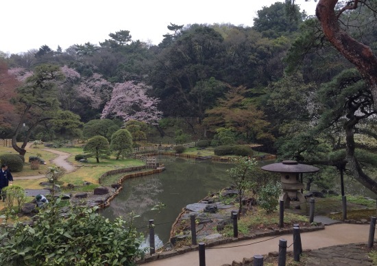 桜、桜、チワワ、落語・・・?_f0197215_22244899.jpg