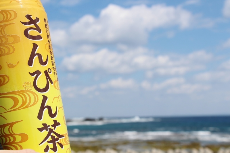 島へ、お茶旅3_b0220318_17350254.jpg