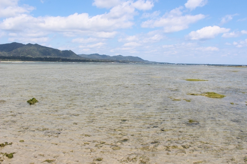 島へ、お茶旅3_b0220318_17382493.jpg