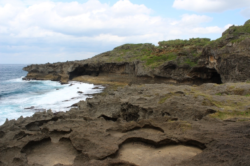島へ、お茶旅3_b0220318_17413918.jpg