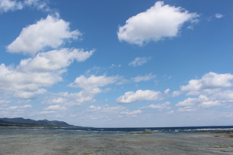 島へ、お茶旅3_b0220318_18134570.jpg