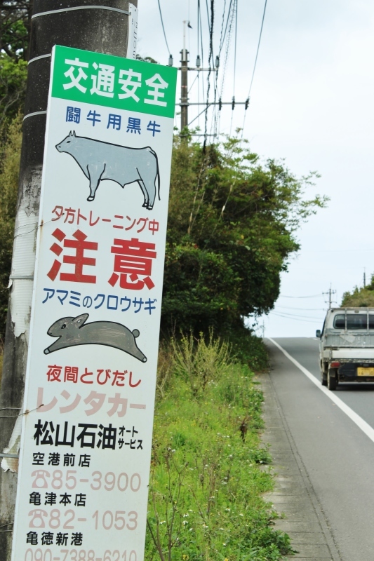 島へ、お茶旅3_b0220318_18254231.jpg