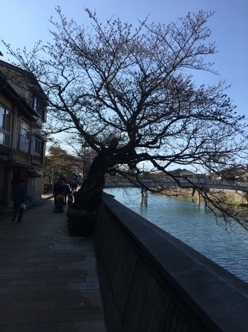 「福井、金沢の旅！　その１」・・・　２１世紀美術館　&　近江町市場_f0141419_08433304.jpg