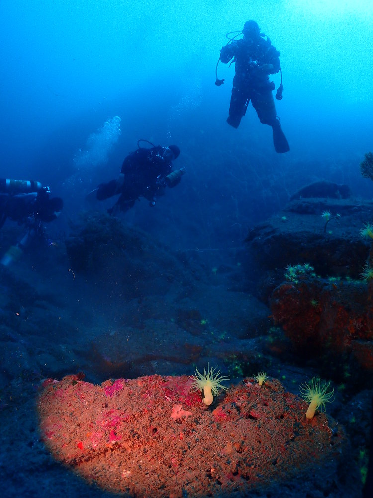 a0104720_16231814.jpg