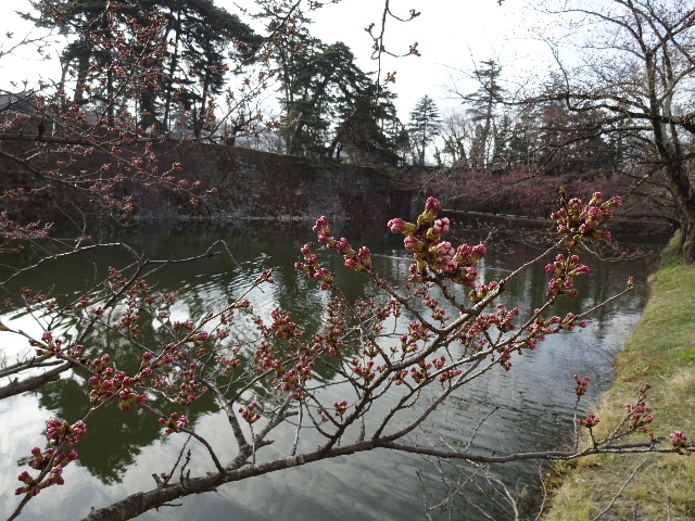 c0141223_16572862.jpg