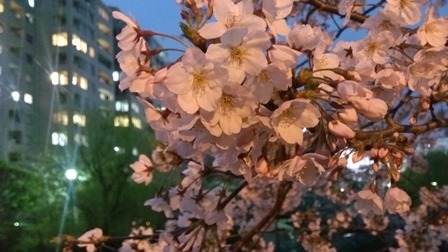 c0109726_10373388.jpg
