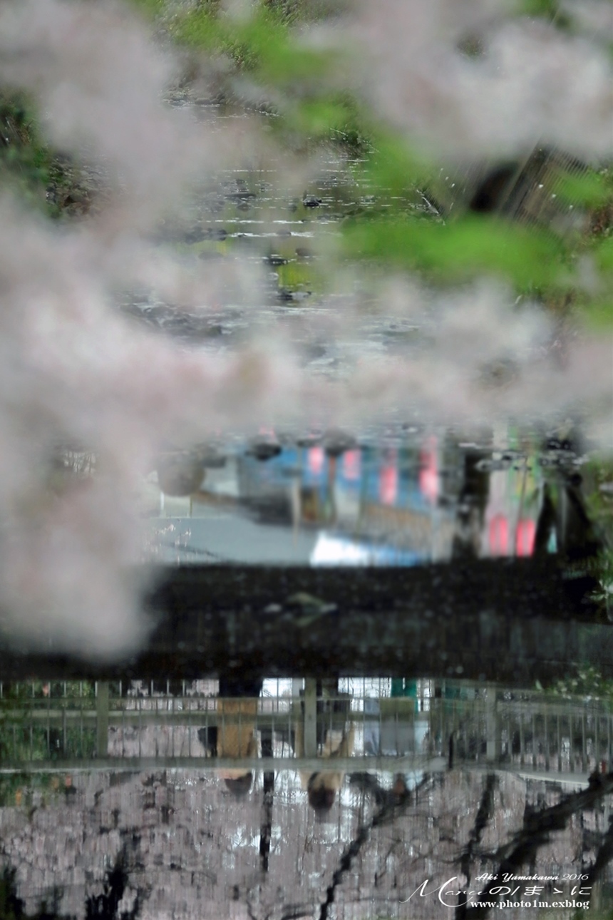 まゝに/番外/散策/所沢航空記念公園_d0342426_01504171.jpg