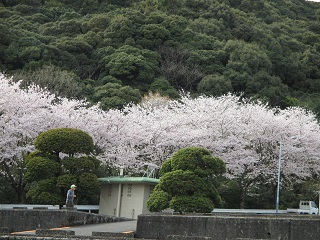 a0098027_16265874.jpg