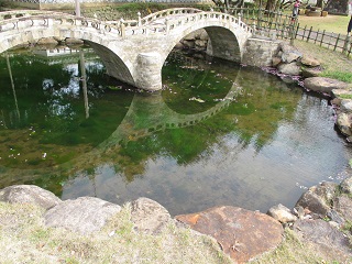 a0098027_16482591.jpg