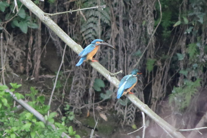 a0124530_1855114.jpg