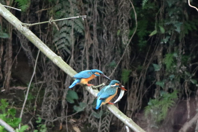 a0124530_1863860.jpg