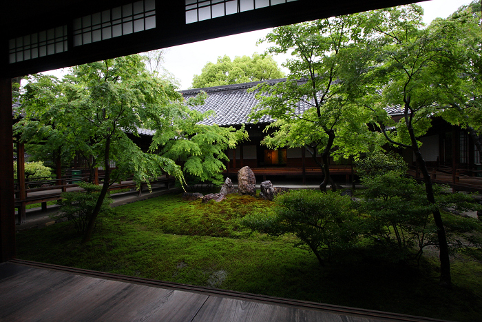 新緑のお寺 －建仁寺－_b0169330_145040.jpg