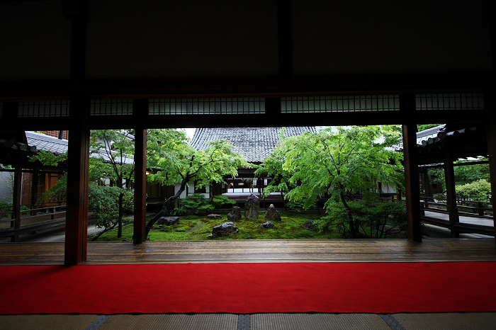 新緑のお寺 －建仁寺－_b0169330_1535913.jpg