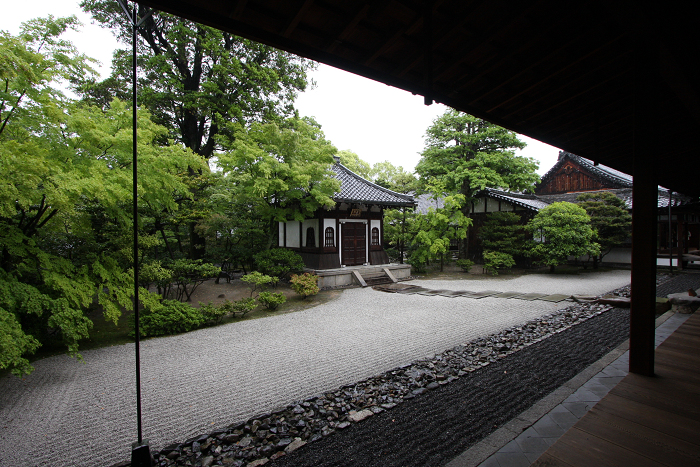 新緑のお寺 －建仁寺－_b0169330_21562534.jpg