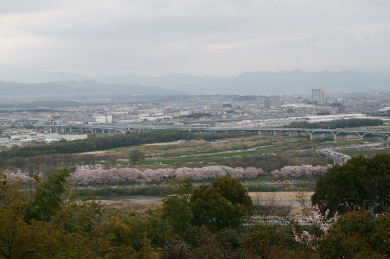 石清水八幡宮_c0107231_1655393.jpg