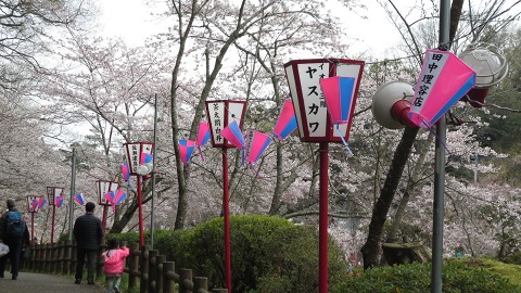 2016.04.02　茂原公園の桜_e0202031_9474425.jpg