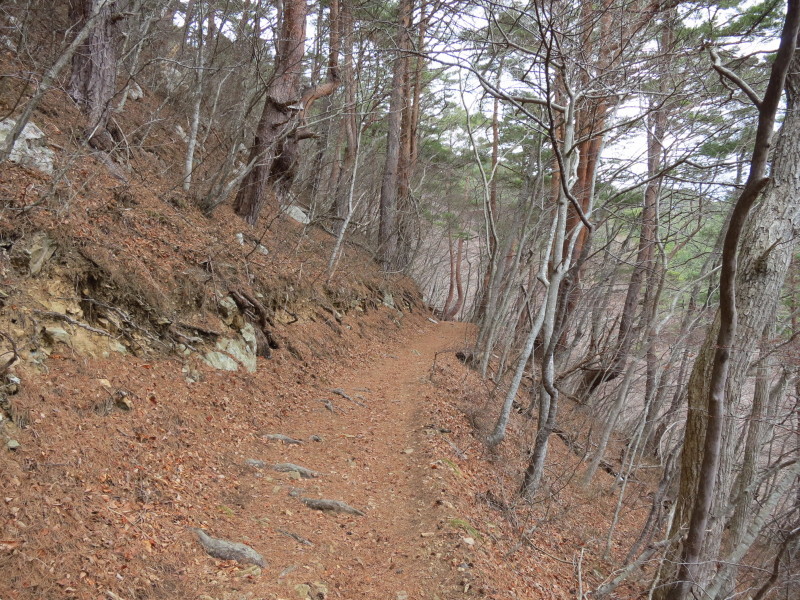 心を奪われる開放感！本州最東端とどヶ埼へのハイキング。_b0206037_09224025.jpg