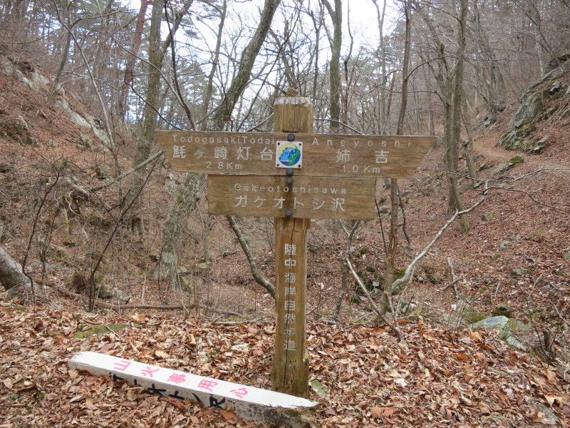 心を奪われる開放感！本州最東端とどヶ埼へのハイキング。_b0206037_09262042.jpg