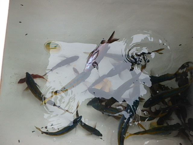 c0183137_21284345.jpg