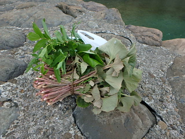 c0183137_2149471.jpg
