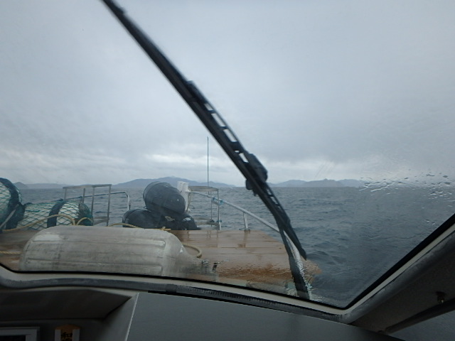 c0183137_2202183.jpg